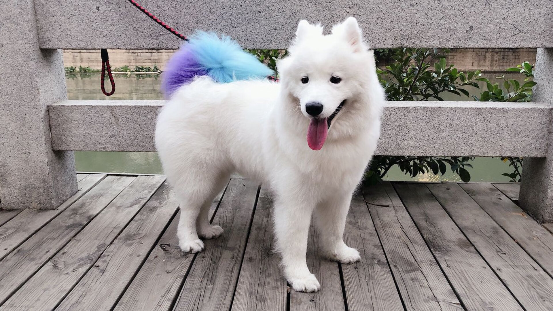 日本队在亚洲杯中表现出色,志在夺冠