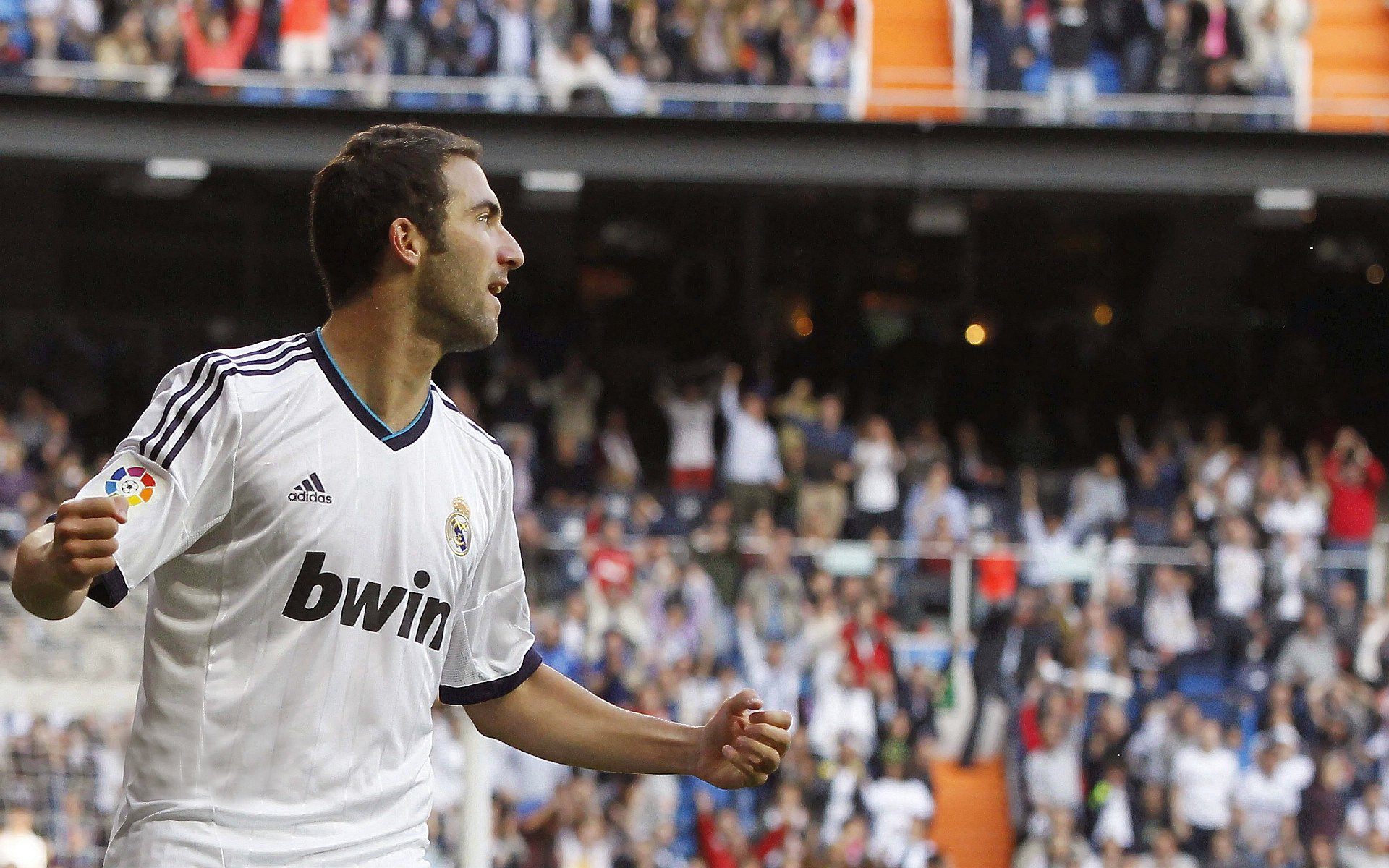 2026世界杯场馆采用全可再生能源，绿色环保成行业标杆，2026世界杯扩容